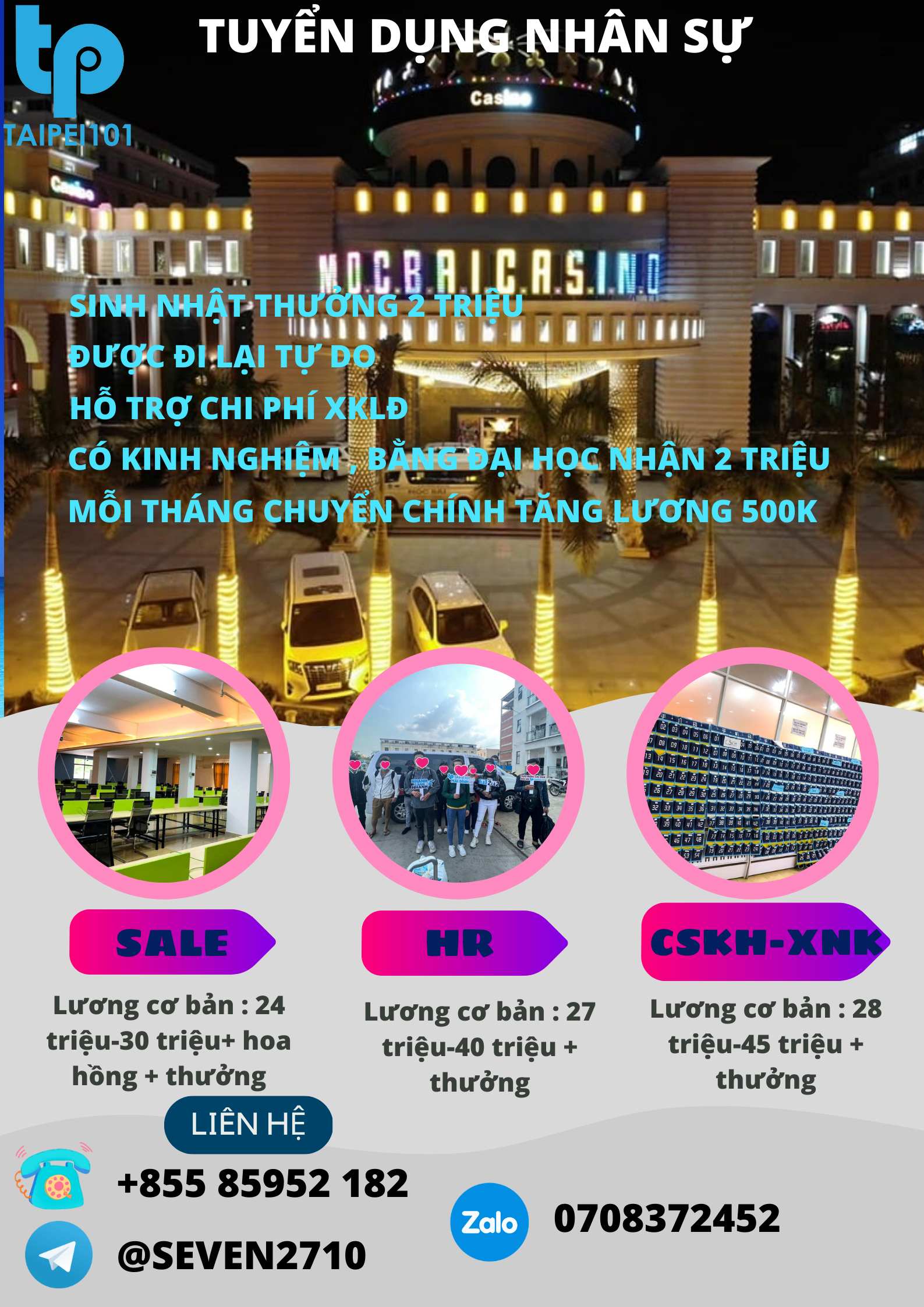 lĩnh vực hoạt động
